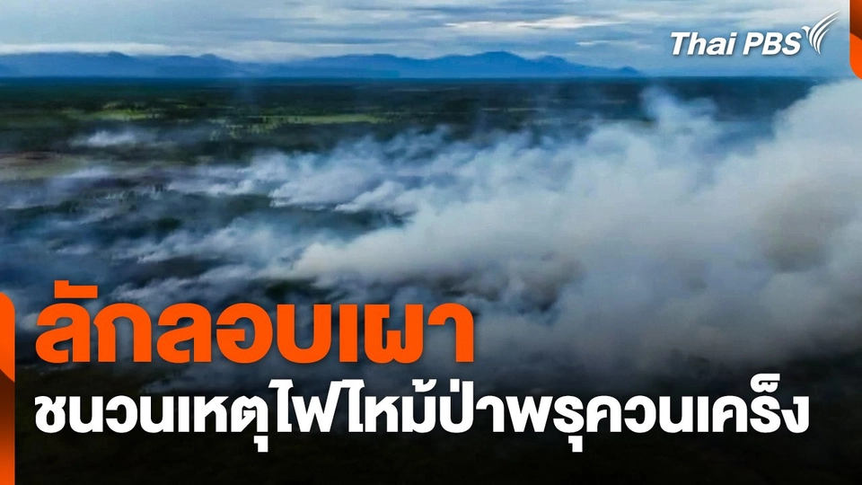 ลักลอบเผา ชนวนเหตุไฟไหม้ป่าพรุควนเคร็ง