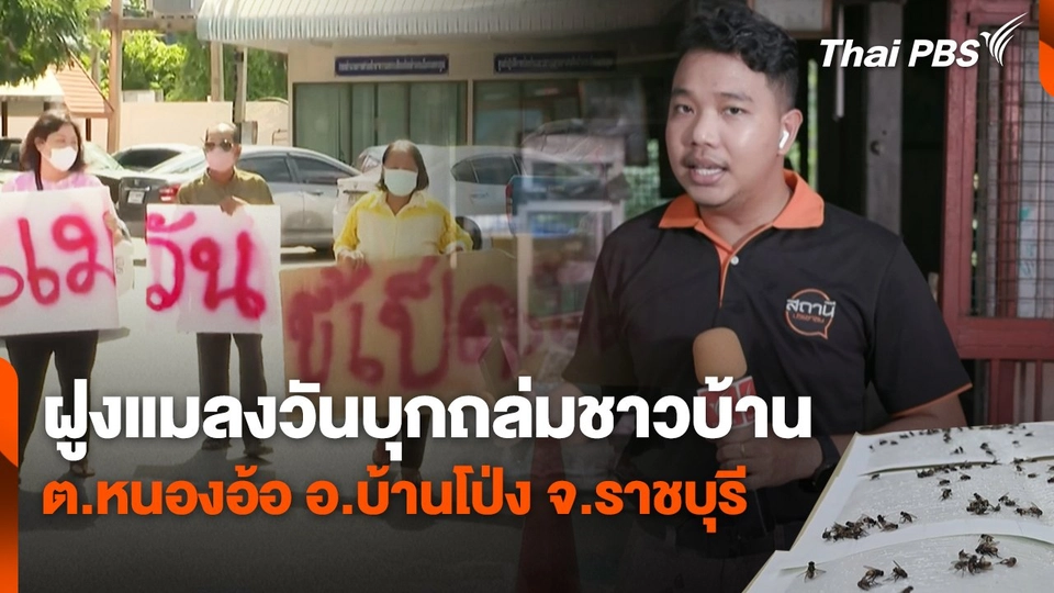 สถานีร้องเรียน :  ฝูงแมลงวันบุกถล่มชาวบ้าน ต.หนองอ้อ อ.บ้านโป่ง จ.ราชบุรี