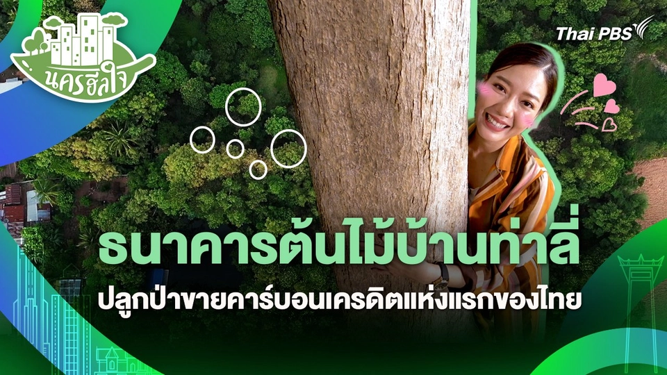 นครฮีลใจ : ธนาคารต้นไม้บ้านท่าลี่ปลูกป่าขายคาร์บอนเครดิตแห่งแรกของไทย