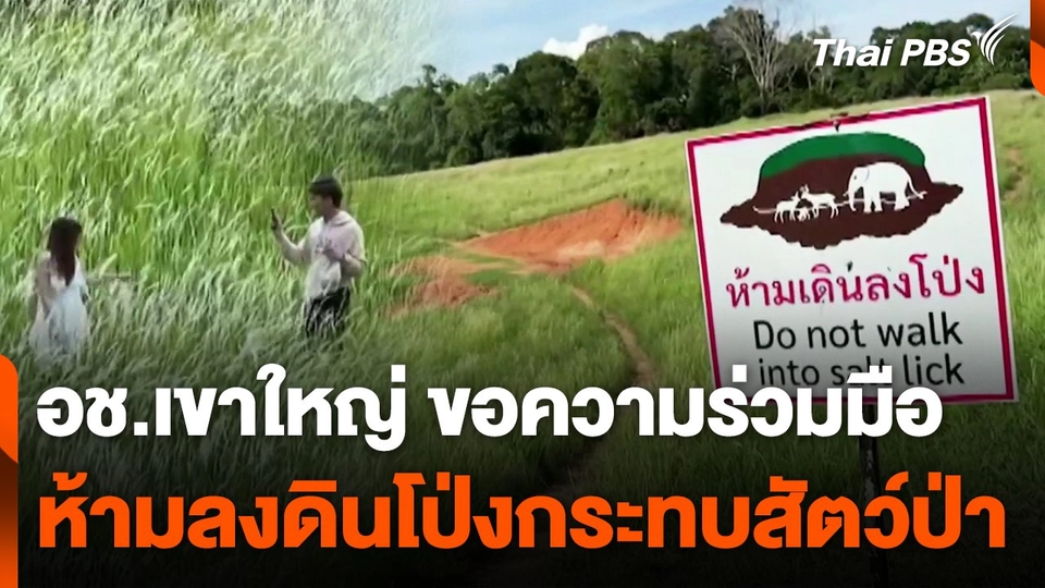 อช.เขาใหญ่ ขอความร่วมมือห้ามลงดินโป่งกระทบสัตว์ป่า