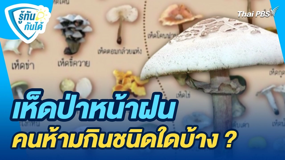 รู้ทันกันได้ : เห็ดป่าหน้าฝน คนห้ามกินชนิดใดบ้าง ?