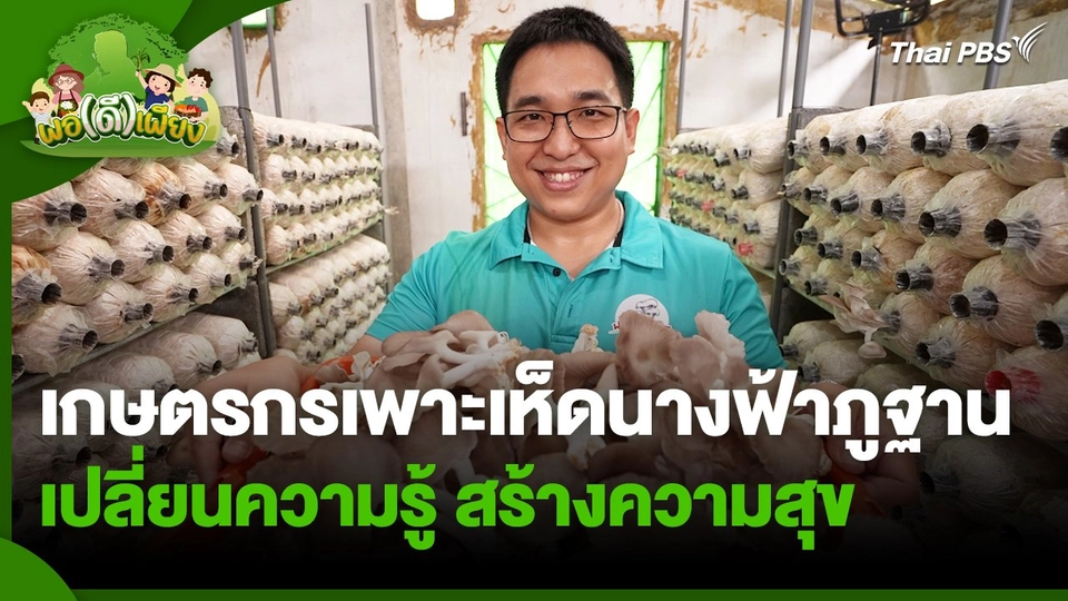 พอดีพอเพียง : เกษตรกรเพาะเห็ดนางฟ้าภูฐานเปลี่ยนความรู้ สร้างความสุข