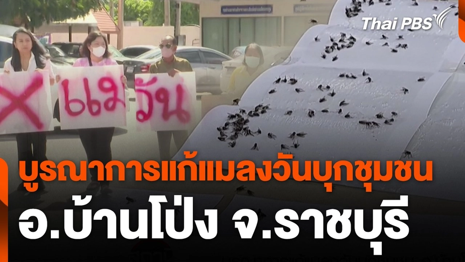 สถานีร้องเรียน : บูรณาการแก้แมลงวันบุกชุมชน อ.บ้านโป่ง จ.ราชบุรี