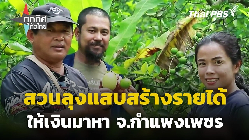 สวนลุงแสบสร้างรายได้ให้เงินมาหา จ.กำแพงเพชร