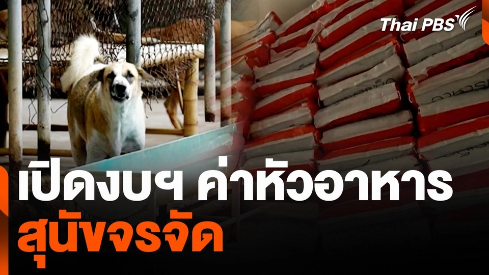 เปิดงบฯ ค่าหัวอาหารสุนัขจรจัด | ข่าวเจาะย่อโลก | 22 มิ.ย. 67