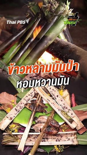 ข้าวหลามมันป่า หอมหวานมัน