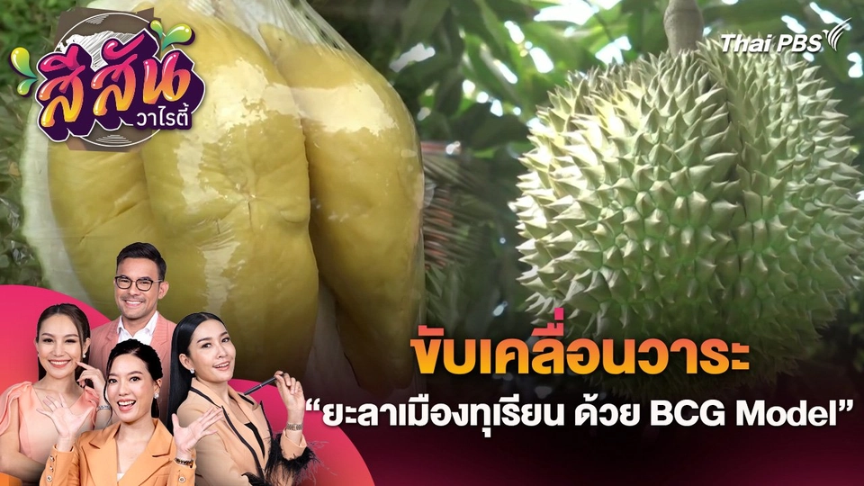 สีสันวาไรตี้ (27 มิ.ย. 67)