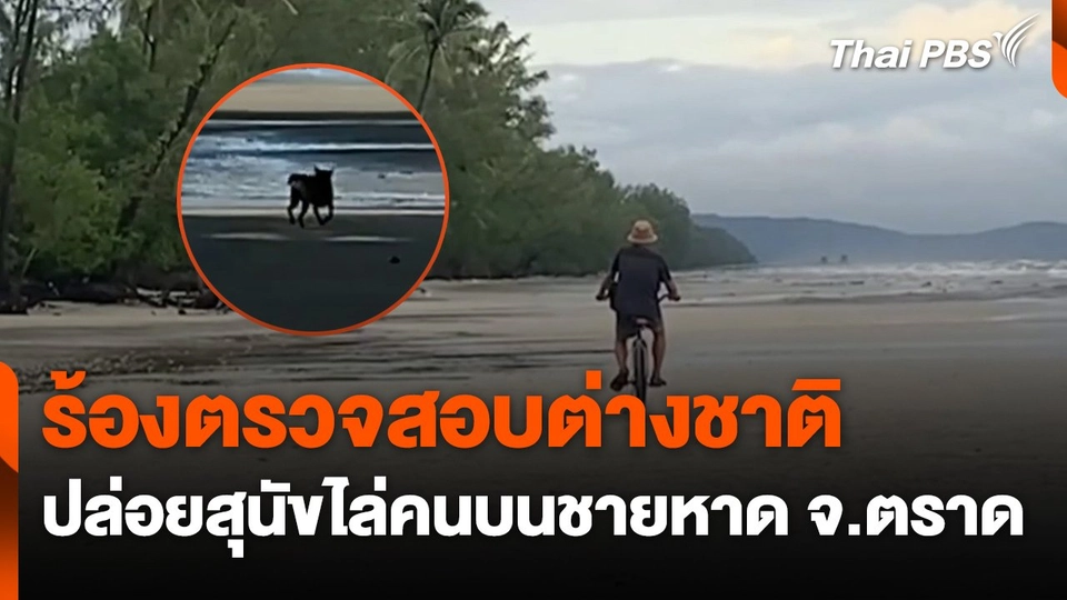 ร้องตรวจสอบต่างชาติปล่อยสุนัขไล่คนบนชายหาด จ.ตราด