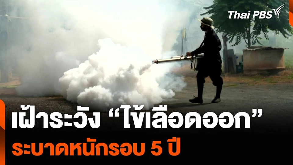 เฝ้าระวัง “ไข้เลือดออก” ระบาดหนักรอบ 5 ปี