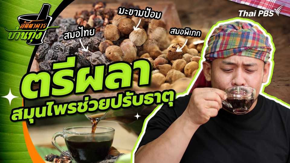 คลิปบ้านทุ่ง : "ตรีผลา" สมุนไพรช่วยปรับธาตุ