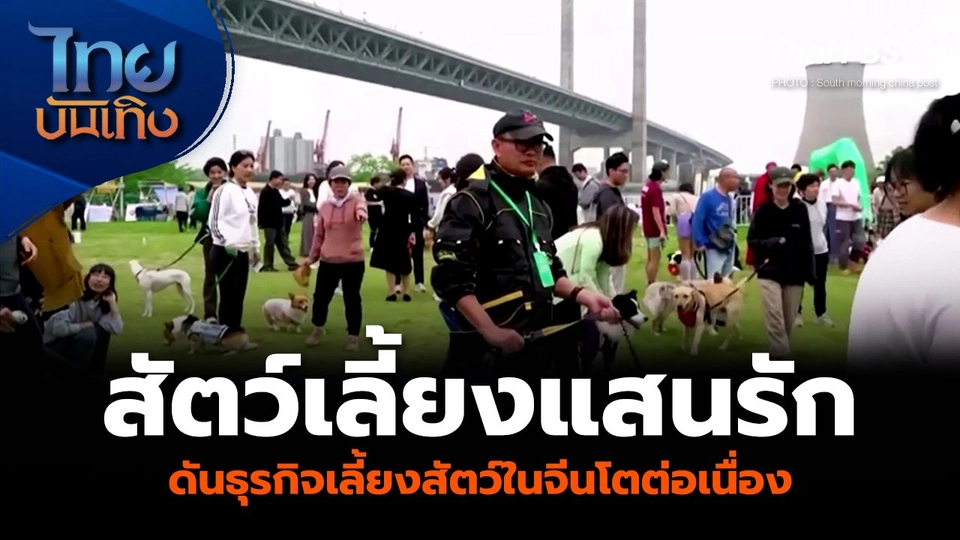 แลโลกเห็นเรา : “สัตว์เลี้ยงแสนรัก” ดันธุรกิจเลี้ยงสัตว์ในจีนโตต่อเนื่อง