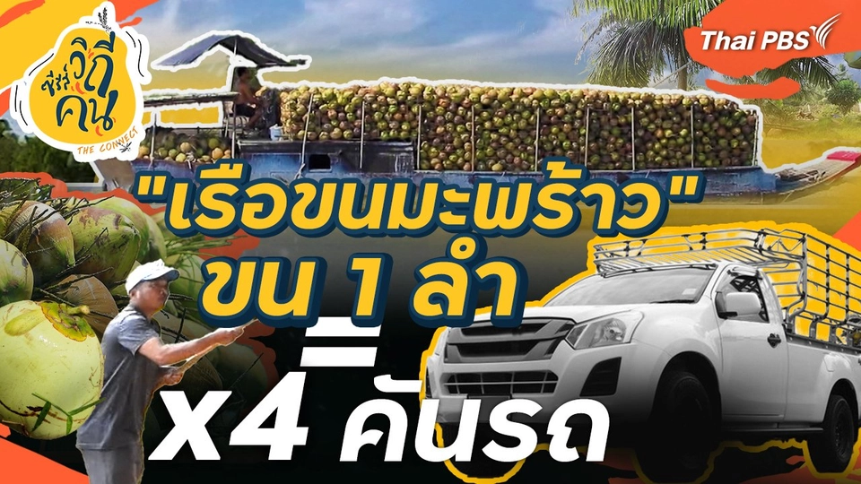 "เรือขนมะพร้าว" ขน 1 ลำ = 4 คันรถ