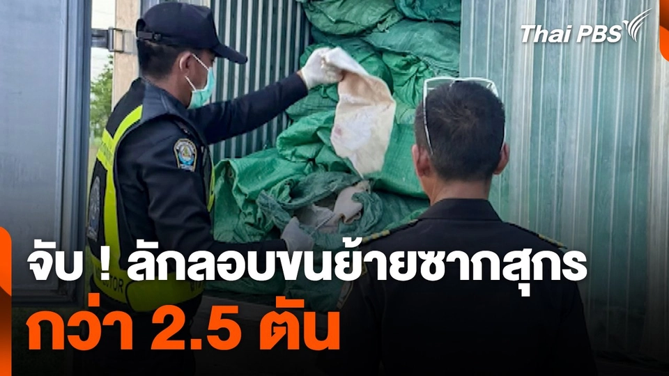 จับ ! ลักลอบขนย้ายซากสุกรกว่า 2.5 ตัน ที่ จ.มุกดาหาร