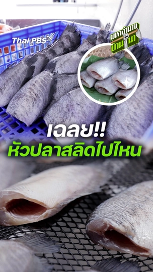 เฉลย! หัวปลาสลิดไปไหน