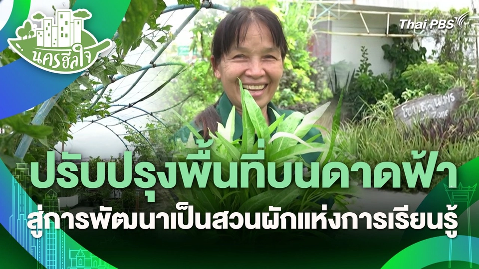 นครฮีลใจ : ปรับปรุงพื้นที่บนดาดฟ้า สู่การพัฒนาเป็นสวนผักแห่งการเรียนรู้