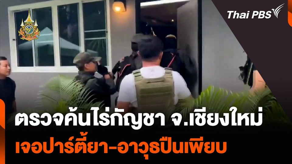 ปฏิบัติการตรวจค้นไร่กัญชา จ.เชียงใหม่ เจอปาร์ตี้ยา-อาวุธปืนเพียบ