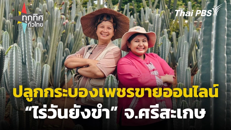 ปลูกกระบองเพชรขายออนไลน์ "ไร่วันยังขำ" จ.ศรีสะเกษ