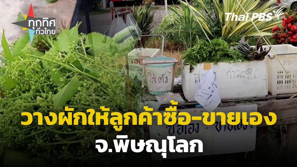 วางผักไว้ให้ลูกค้าซื้อเองขายเอง จ.พิษณุโลก