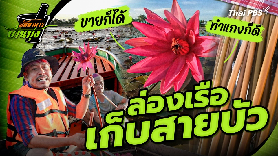 คลิปบ้านทุ่ง : ล่องเรือเก็บสายบัว