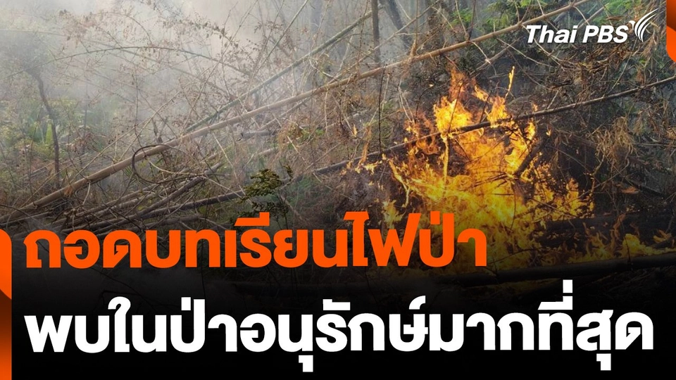 ถอดบทเรียนไฟป่าเชียงใหม่ พบเกิดในป่าอนุรักษ์มากที่สุด