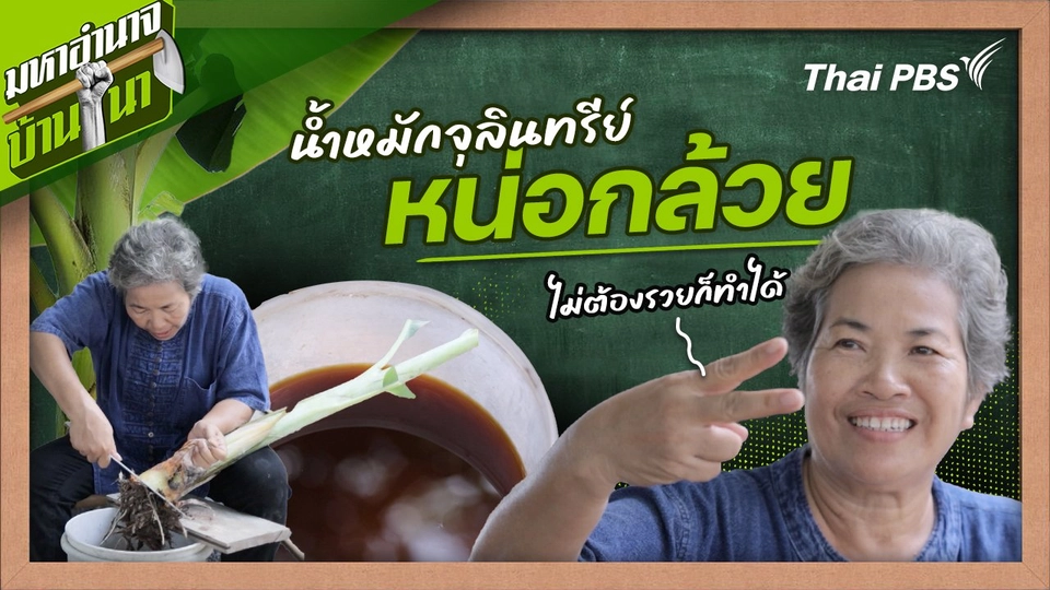 สูตรลับฉบับบ้านนา : น้ำหมักจุลินทรีย์หน่อกล้วย ไม่ต้องรวยก็ทำได้