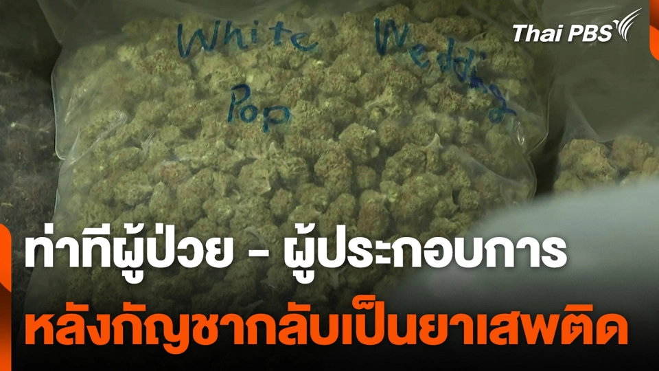 ท่าทีผู้ป่วย - ผู้ประกอบการ หลังกัญชากลับเป็นยาเสพติด