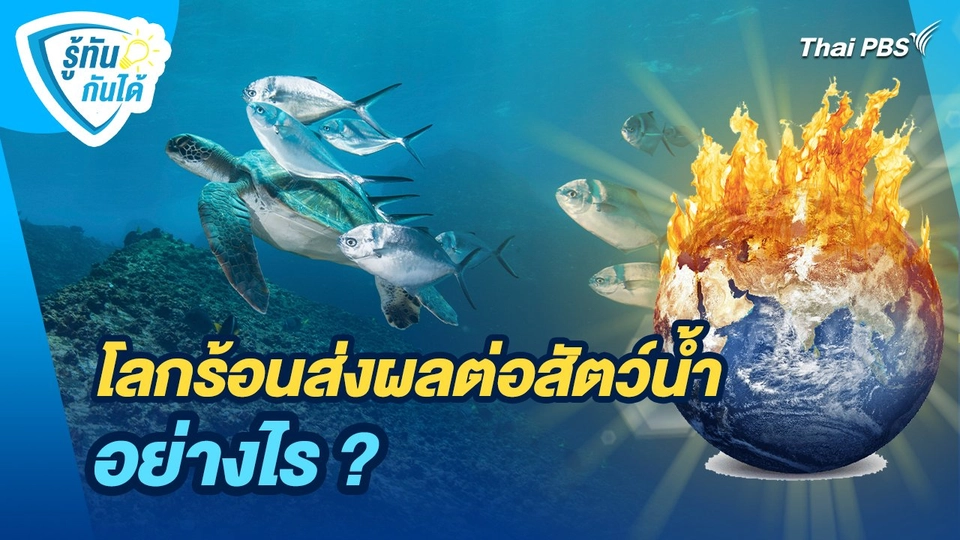 รู้ทันกันได้ : โลกร้อนส่งผลต่อสัตว์น้ำ อย่างไร ?