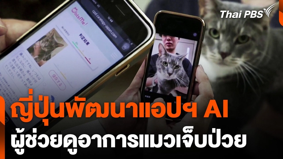 ญี่ปุ่นพัฒนาแอปฯ AI ผู้ช่วยดูอาการแมวเจ็บป่วย