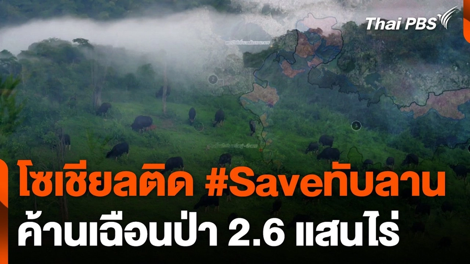 โซเชียลติด #Saveทับลาน ค้านเฉือนป่า 2.6 แสนไร่