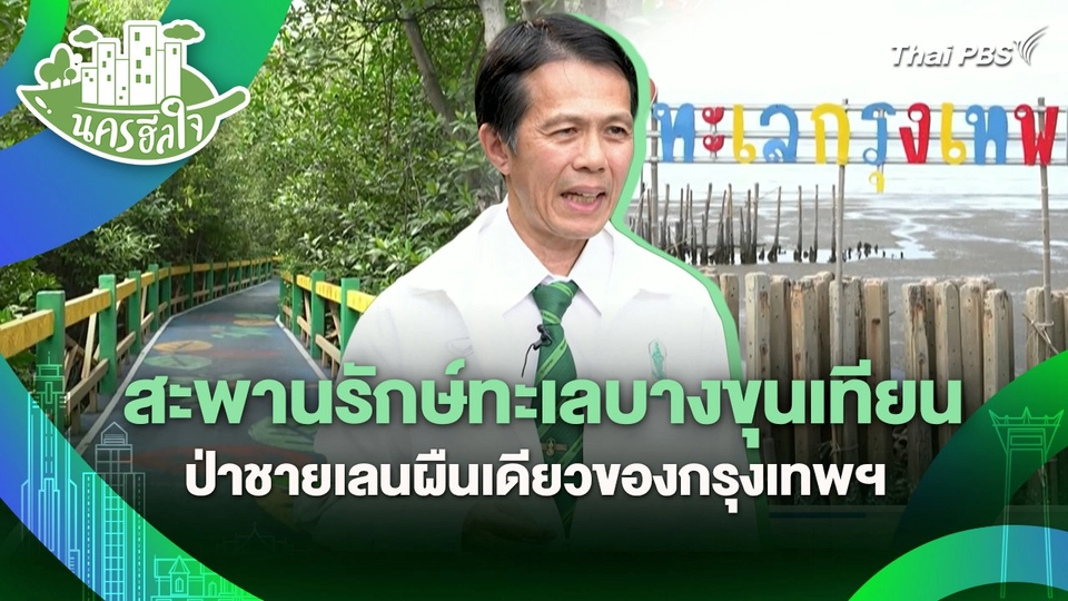 นครฮีลใจ : สะพานรักษ์ทะเลบางขุนเทียน ป่าชายเลนผืนเดียวของกรุงเทพฯ