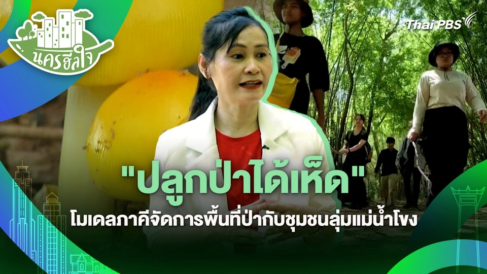 นครฮีลใจ : "ปลูกป่าได้เห็ด" โมเดลภาคีจัดการพื้นที่ป่ากับชุมชนลุ่มแม่น้ำโขง