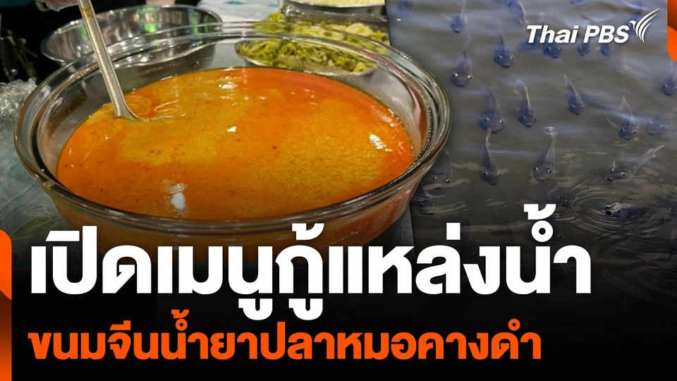 เปิดเมนูกู้แหล่งน้ำ “ขนมจีนน้ำยาปลาหมอคางดำ”