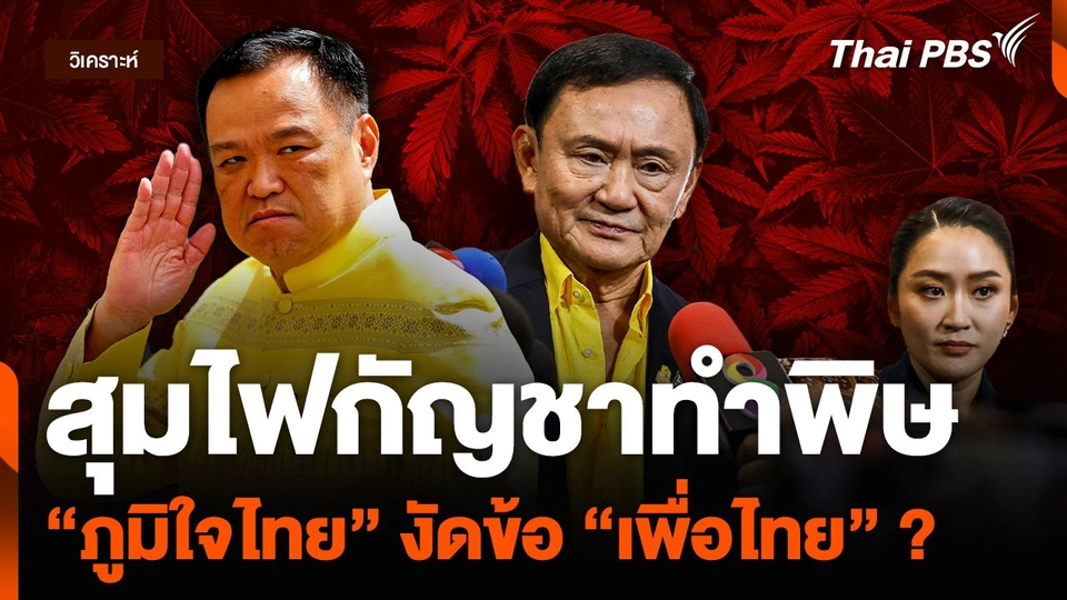 วิเคราะห์ : สุมไฟกัญชาทำพิษ “ภูมิใจไทย” งัดข้อ “เพื่อไทย” ?