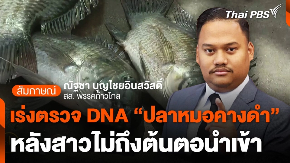 เร่งตรวจ DNA "ปลาหมอคางดำ" หลังสาวไม่ถึงต้นตอนำเข้า