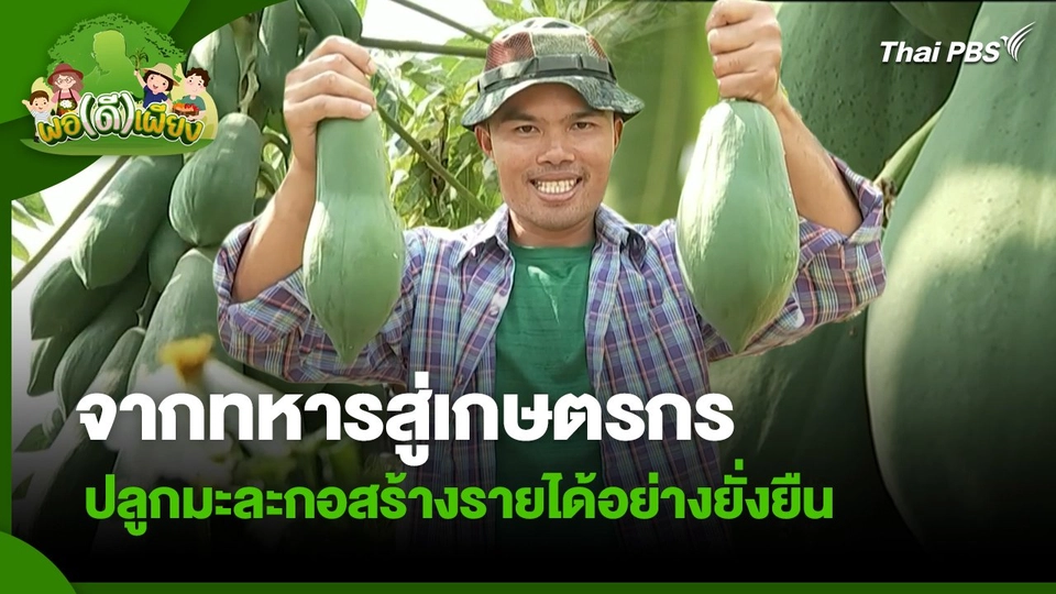 พอดีพอเพียง : จากทหารสู่เกษตรกร ปลูกมะละกอสร้างรายได้อย่างยั่งยืน