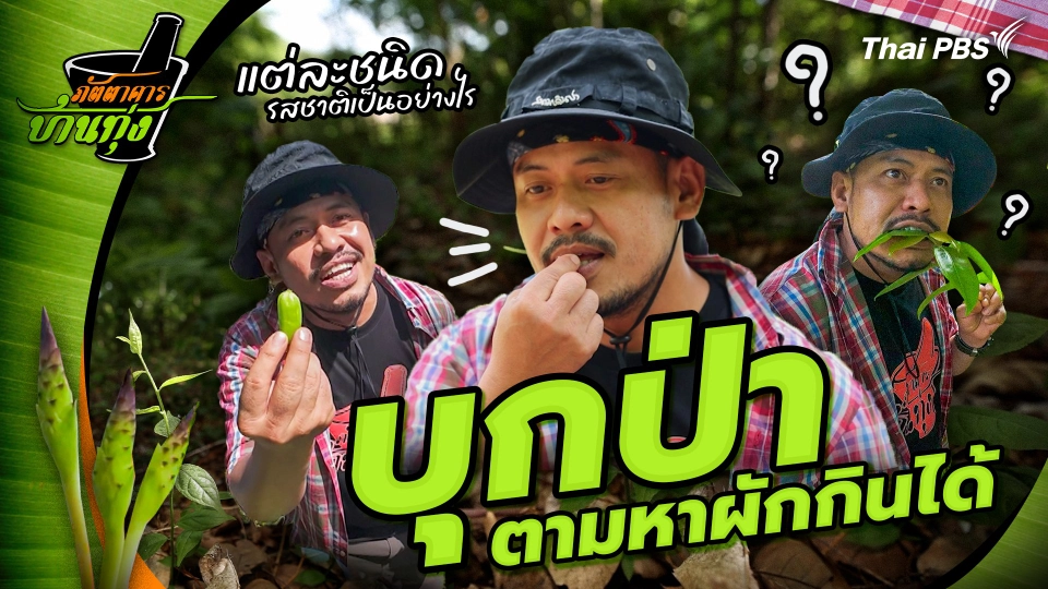 คลิปบ้านทุ่ง : บุกป่า ตามหาผักกินได้