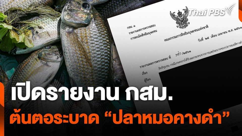 เปิดรายงาน กสม. ต้นตอระบาด "ปลาหมอคางดำ"