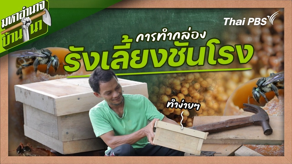 สูตรลับฉบับบ้านนา : การทำกล่องรังเลี้ยงชันโรง