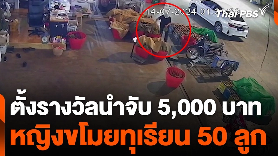 เจ้าของร้านตั้งรางวัลนำจับ 5,000 บาท หญิงขโมยทุเรียน 50 ลูก