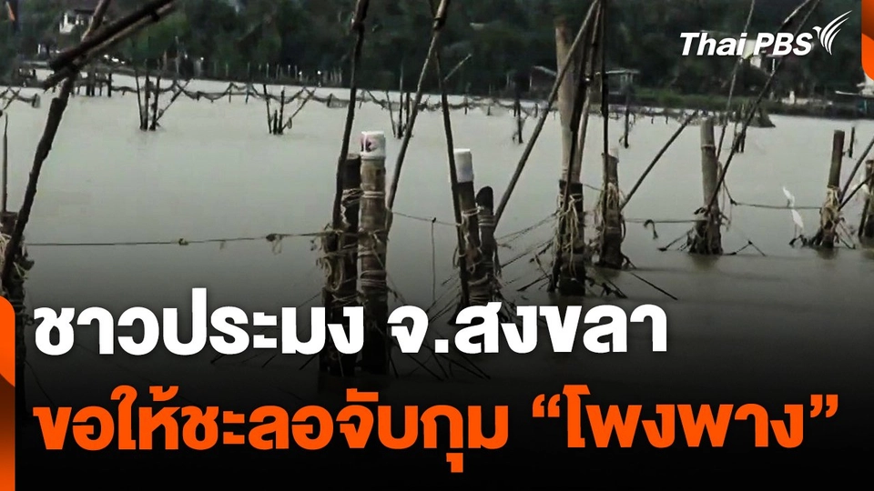 ชาวประมง จ.สงขลา ร้องชะลอการจับกุม "โพงพาง"