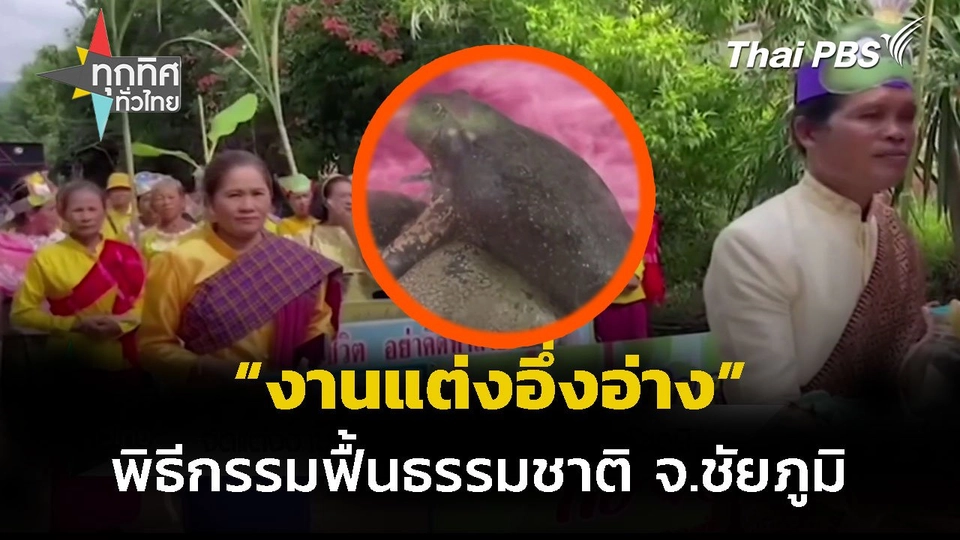 จัดแต่งงานอึ่งอ่างฟื้นธรรมชาติ จ.ชัยภูมิ