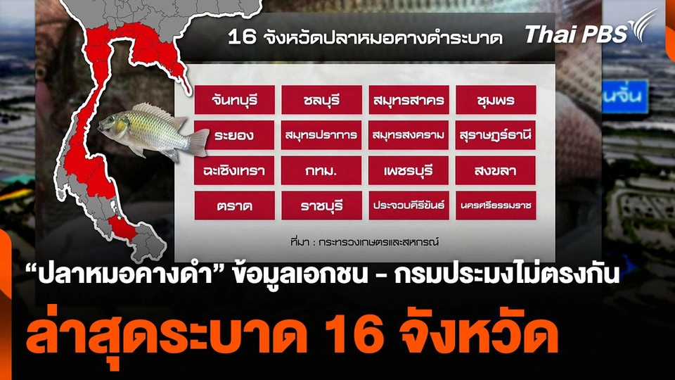 “ปลาหมอคางดำ” ข้อมูลเอกชน - กรมประมงไม่ตรงกัน ล่าสุดระบาด 16 จังหวัด