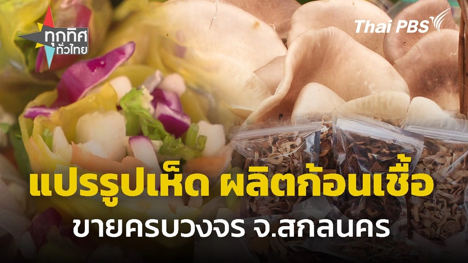 แปรรูปเห็ดผลิตก้อนเชื้อขายครบวงจร จ.สกลนคร