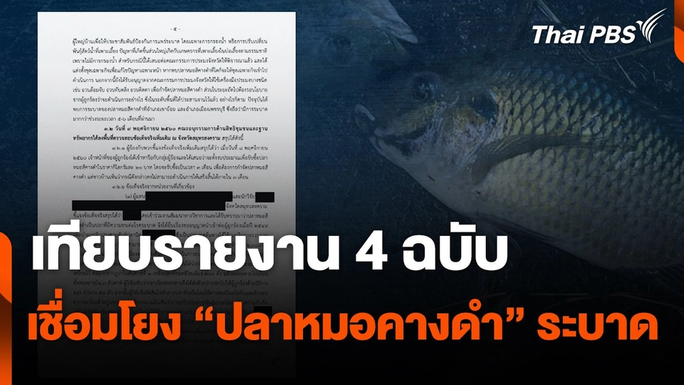 เทียบรายงาน 4 ฉบับ เชื่อมโยง "ปลาหมอคางดำ" ระบาด