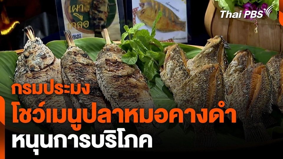 กรมประมง โชว์เมนู "ปลาหมอคางดำ" หนุนการบริโภค