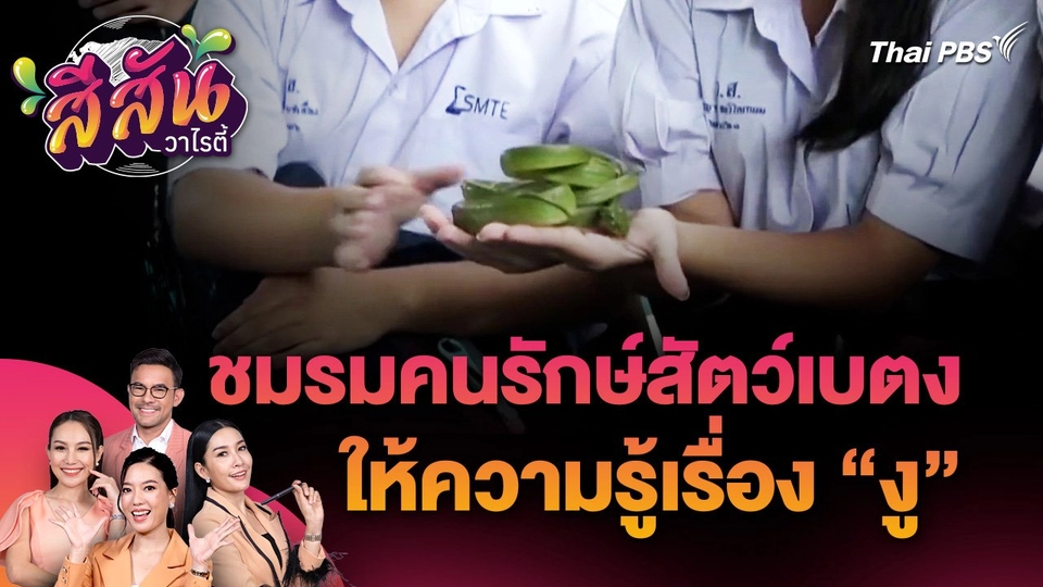 สีสันวาไรตี้ : ชมรมคนรักษ์สัตว์เบตง จัดกิจกรรมให้ความรู้เรื่องงู กู้ภัย นักเรียน นักศึกษา ปชช. ในพื้นที่