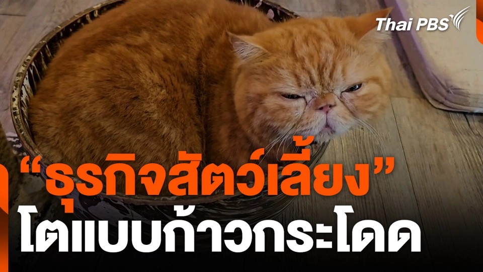 “ธุรกิจสัตว์เลี้ยง” โตแบบก้าวกระโดด