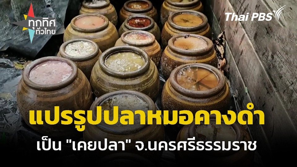 แปรรูปปลาหมอคางดำ เป็น "เคยปลา" จ.นครศรีธรรมราช