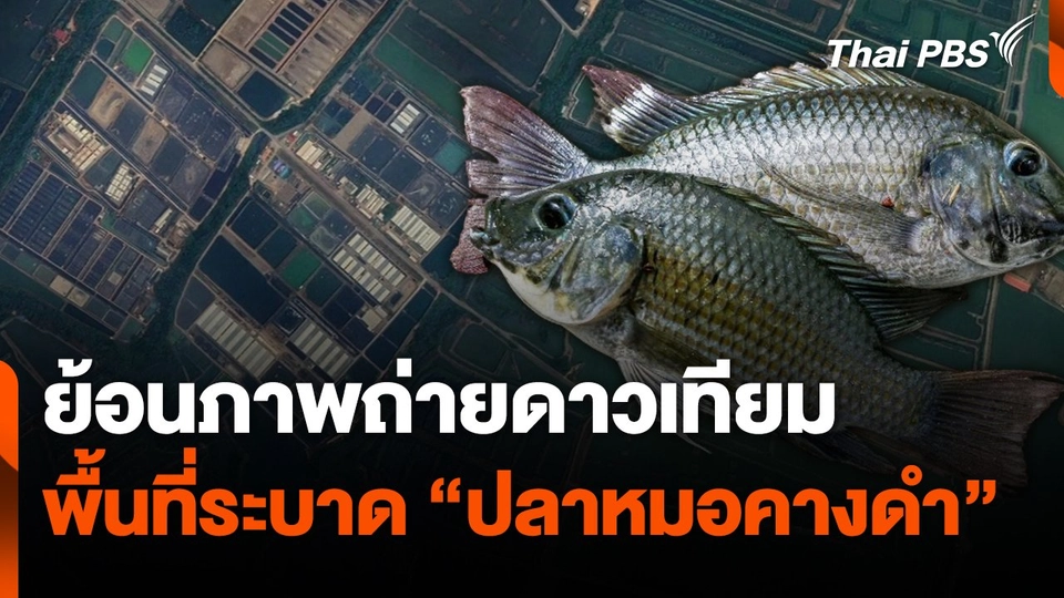 The EXIT : ย้อนภาพถ่ายดาวเทียมพื้นที่ระบาด "ปลาหมอคางดำ" ต.ยี่สาร