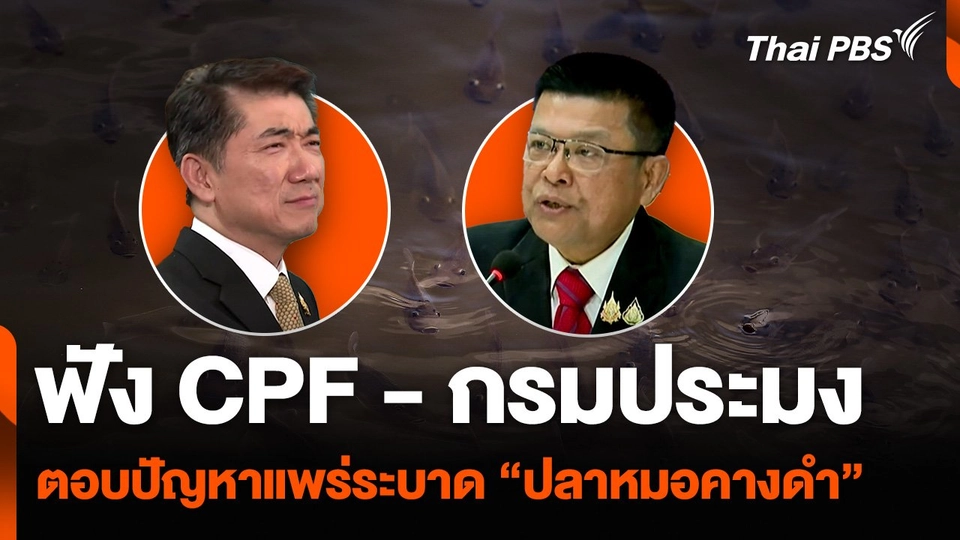 ฟัง กรมประมง - ผู้บริหาร CPF ตอบปัญหาแพร่ระบาด “ปลาหมอคางดำ”